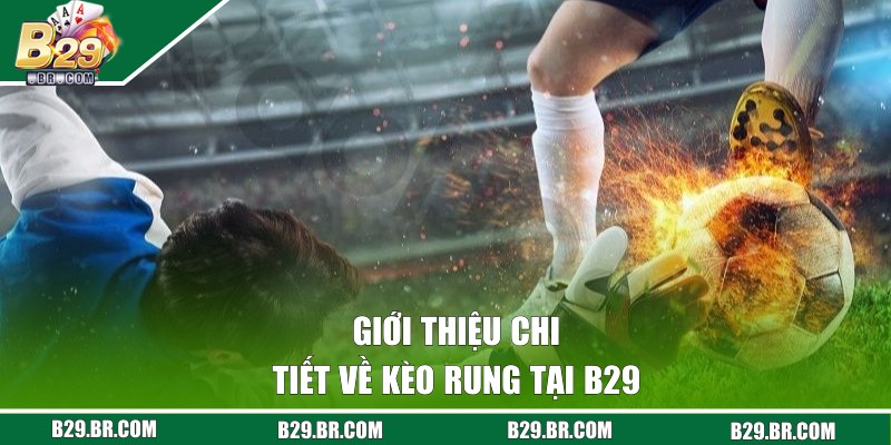 Giới thiệu chi tiết về kèo rung tại B29