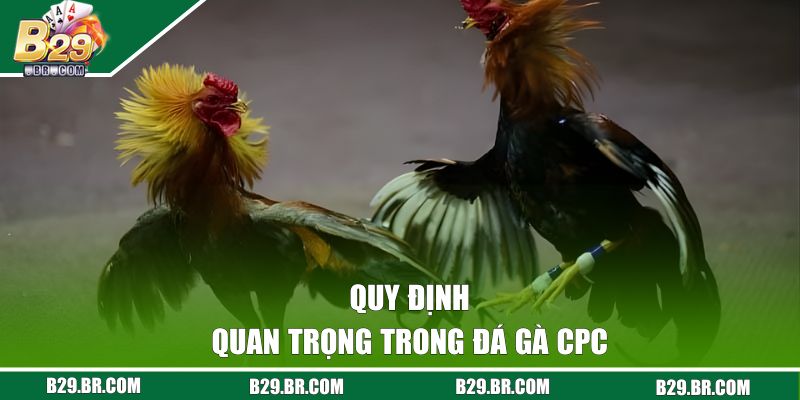Quy định quan trọng trong đá gà CPC