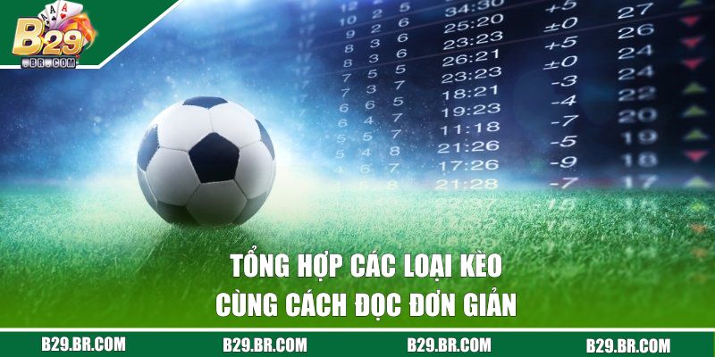 Tổng hợp các loại kèo cùng cách đọc đơn giản